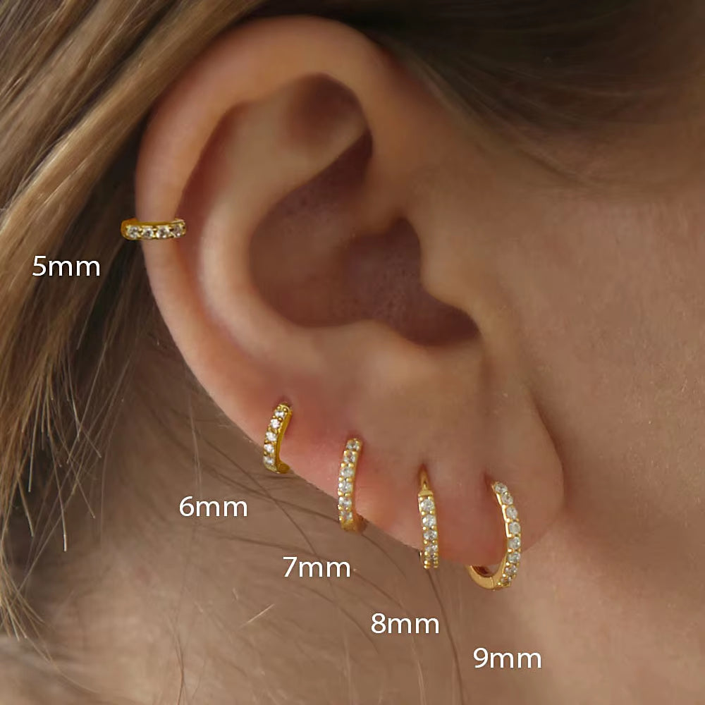 LuxeGlow Unisex Hoop Earrings