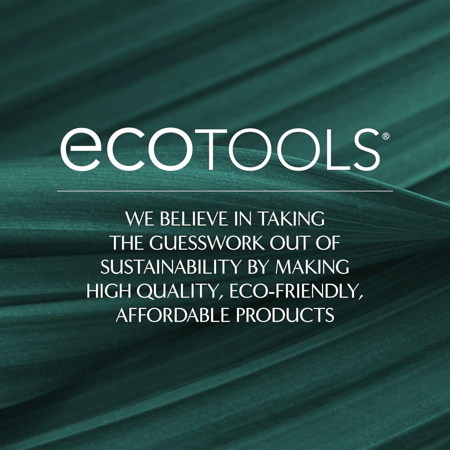 EcoTools Makeup Brush + Sponge Shampoo
