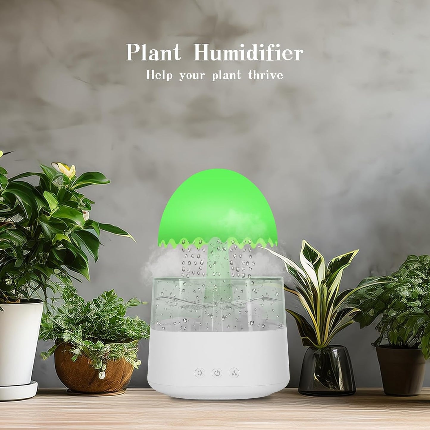 Rain Cloud Humidifier 
