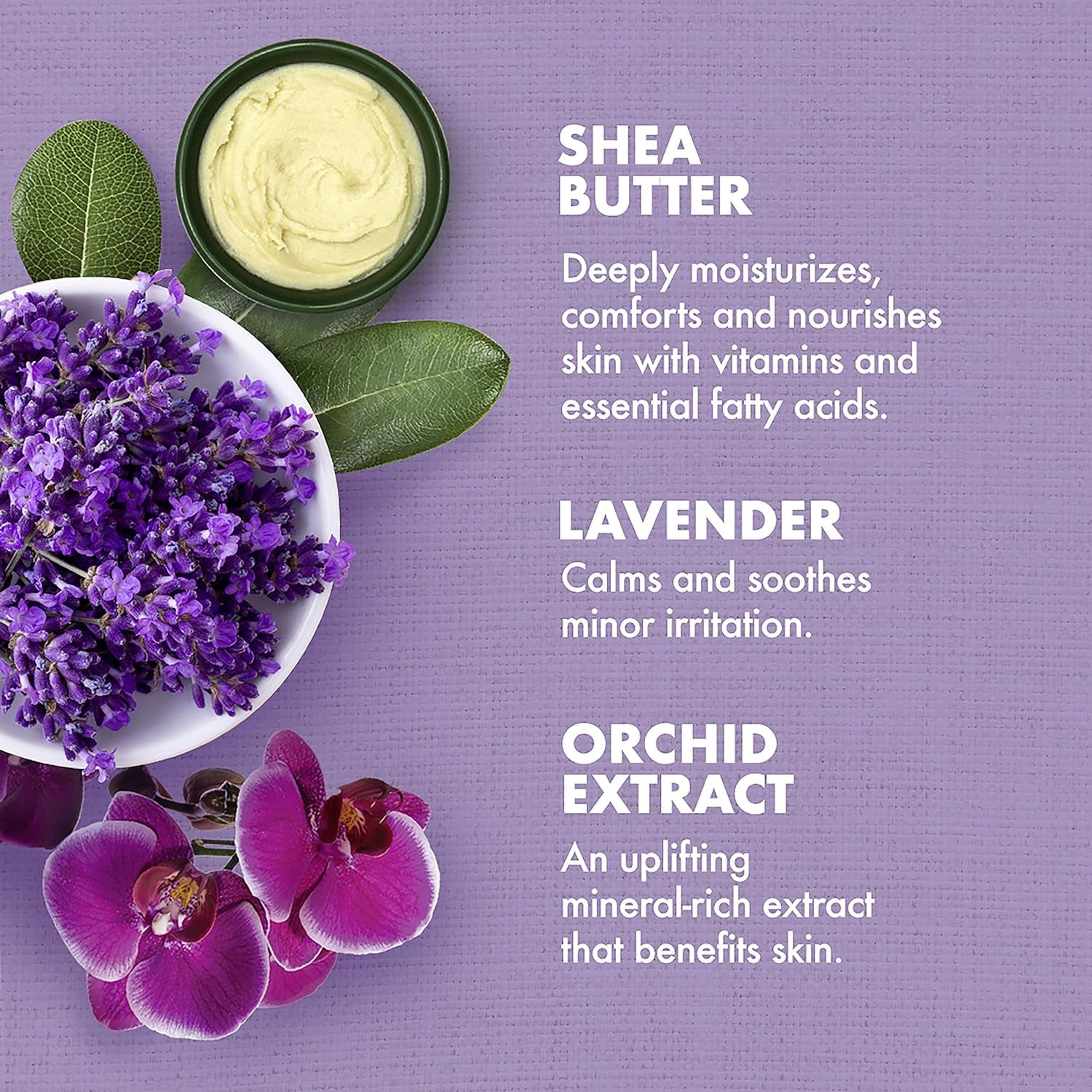 SheaMoisture Lavender & Wild Orchid Calming Body Oil