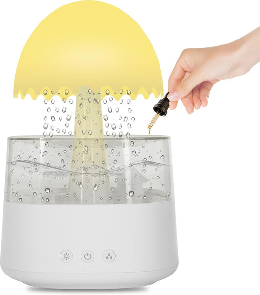 Rain Cloud Humidifier 